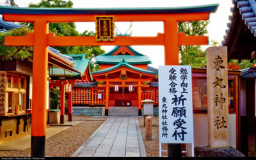 日本 日本