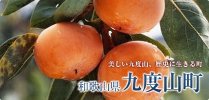九度山